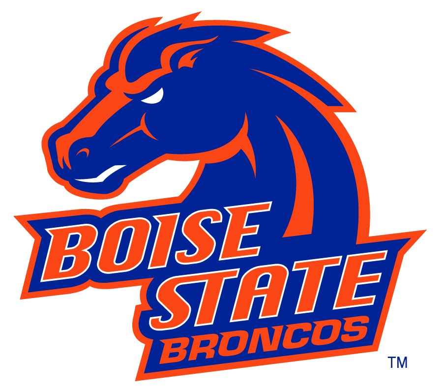 Boise State Broncos 2002-2012 Secondary Logo v24 diy iron on heat transfer